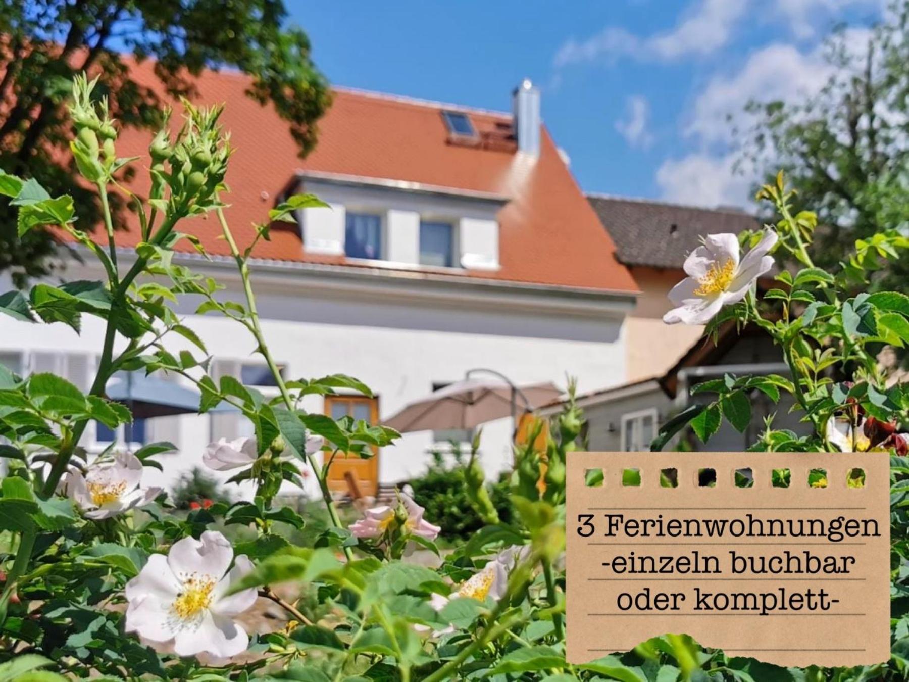 Alte Schule Wittenberg, 3 Ferienwohnungen Fuer Bis Zu 12 Personen, An Der Elbe, Mit Garten Exterior photo