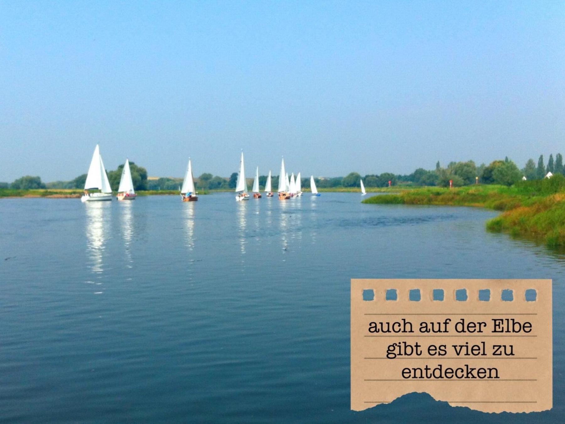 Alte Schule Wittenberg, 3 Ferienwohnungen Fuer Bis Zu 12 Personen, An Der Elbe, Mit Garten Exterior photo
